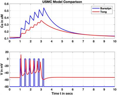 Modeling and experimental approaches for elucidating multi-scale uterine smooth muscle electro- and mechano-physiology: A review